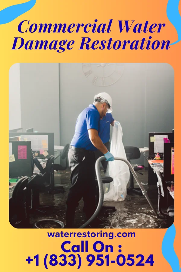 Commercial Water Damage Restoration in Marine, IL