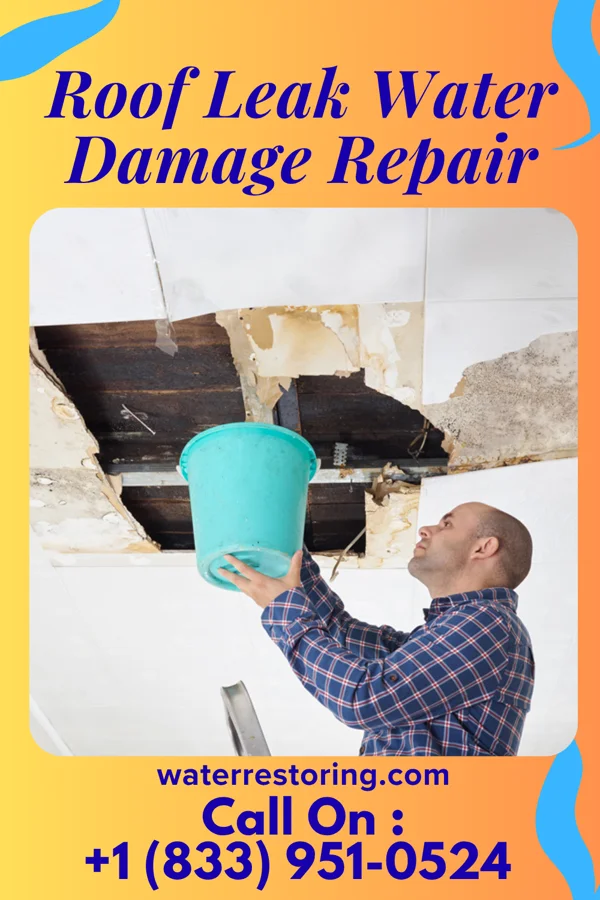 Roof Leak Water Damage Repair in Marine, IL