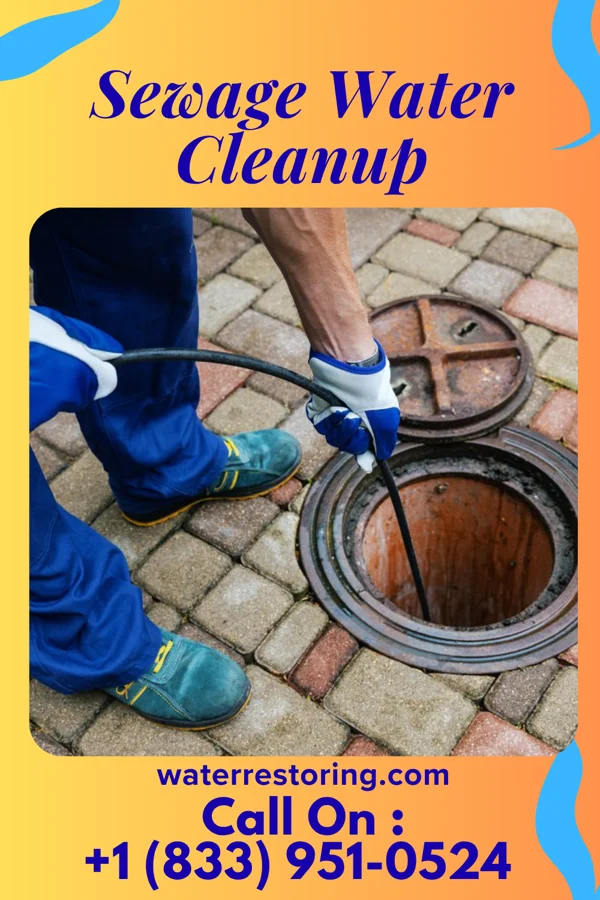 Sewage Water Cleanup in Marine, IL